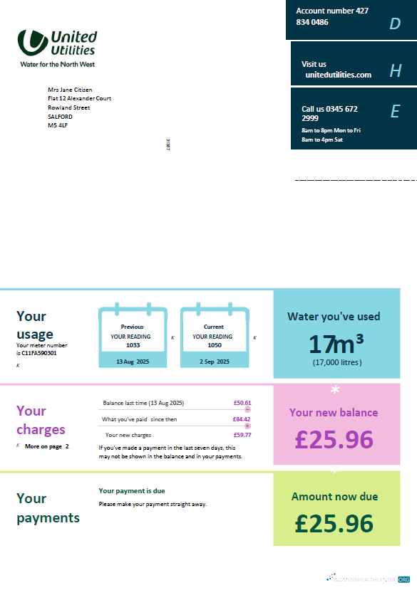 download United Kingdom United Utilities utility bill template in Word and PDF formats PDF template